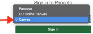 screenshot of dropdown list showing "canvas" option