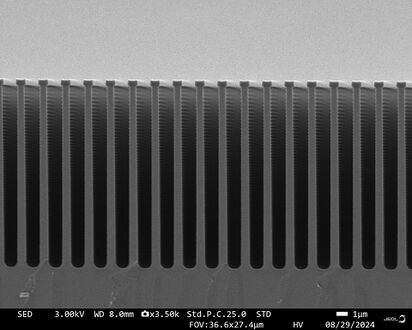 Example SEM image