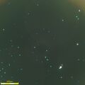 Thumbnail for version as of 20:15, 7 April 2025