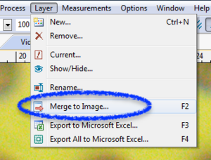 screenshot of menu item layers > Merge