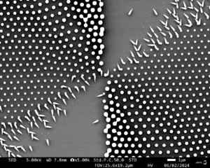 SEM of No-OPC meta-optic center