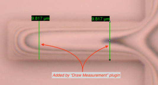 Example of measurements draw on a microscope image