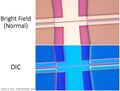 Thumbnail for version as of 20:27, 7 April 2025